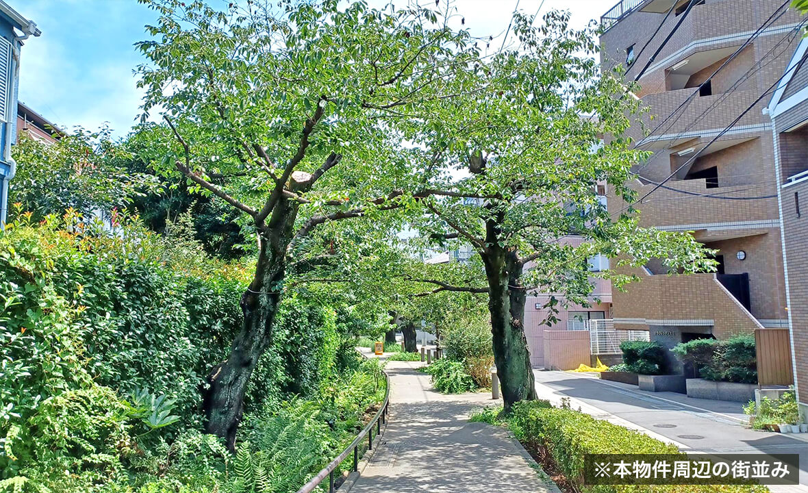 世田谷区代田戸建用地案件